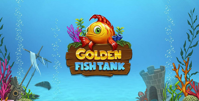 Golden Fishtank Golden Fishtank