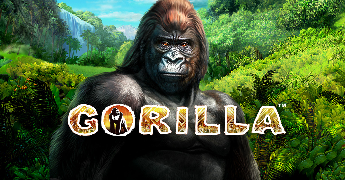 Gorilla